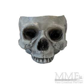 Open Top Skull